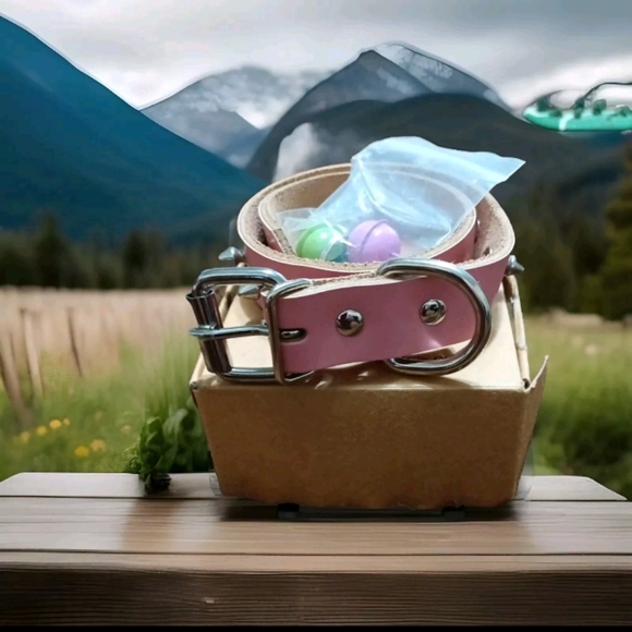 Angel Of Love Cat Collar Pink with Spikes (comes with pink and green bells) - Picture 3 of 3